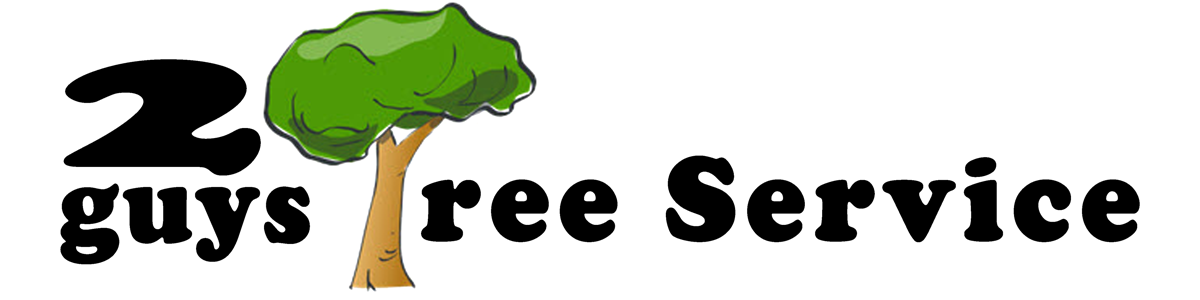 2 Guys Tree Service